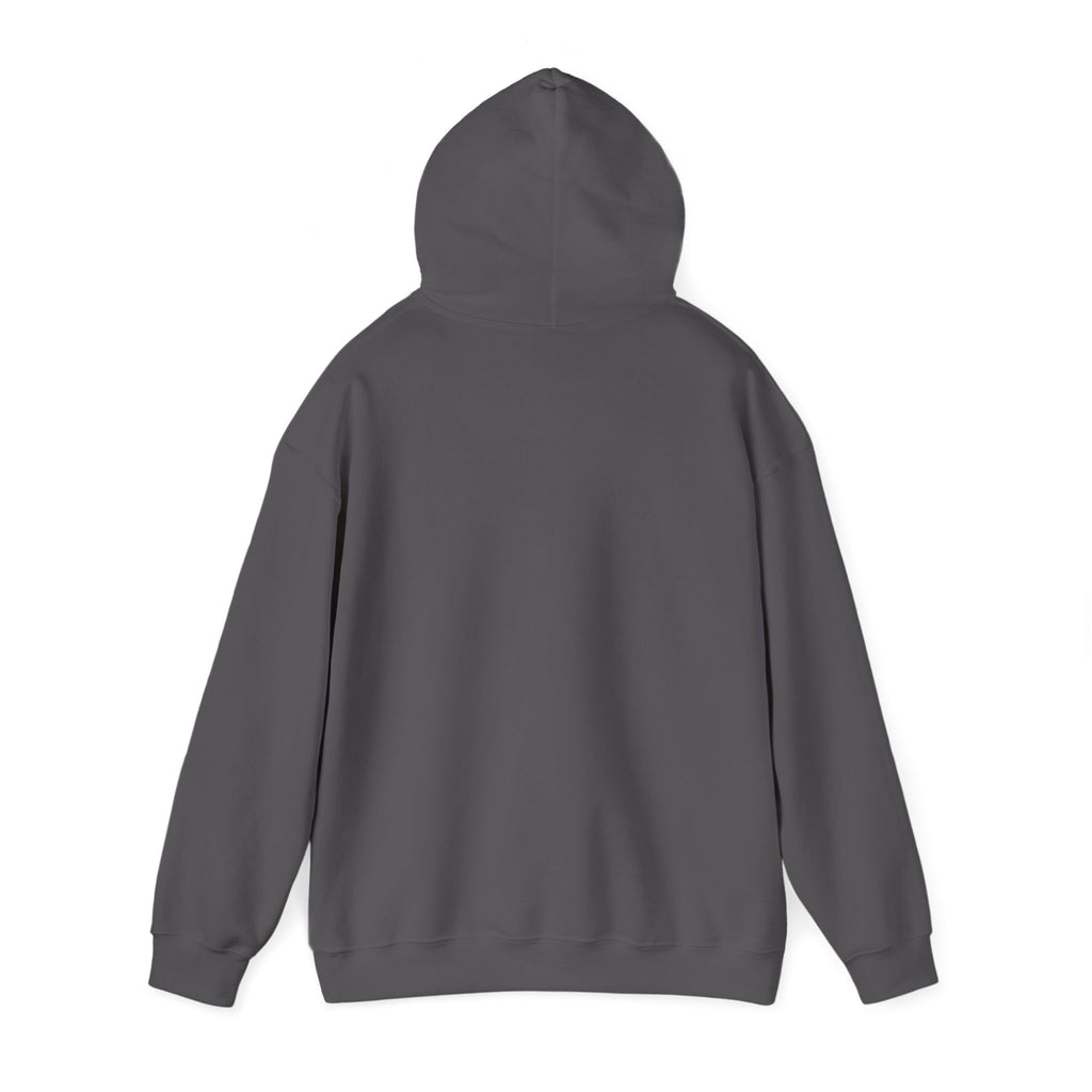 Hailey's Army Volleyball Bow Hoodie