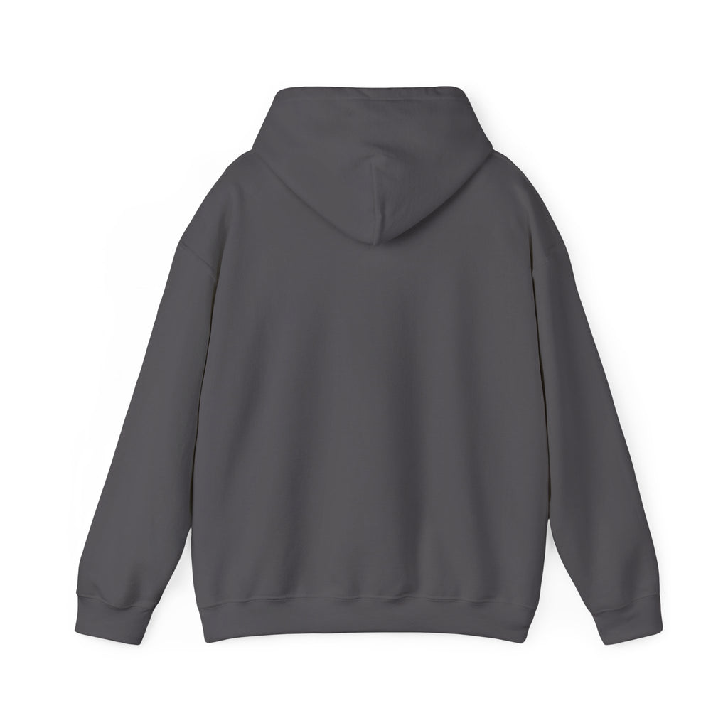 Hailey's Law Pink Bow Hoodie